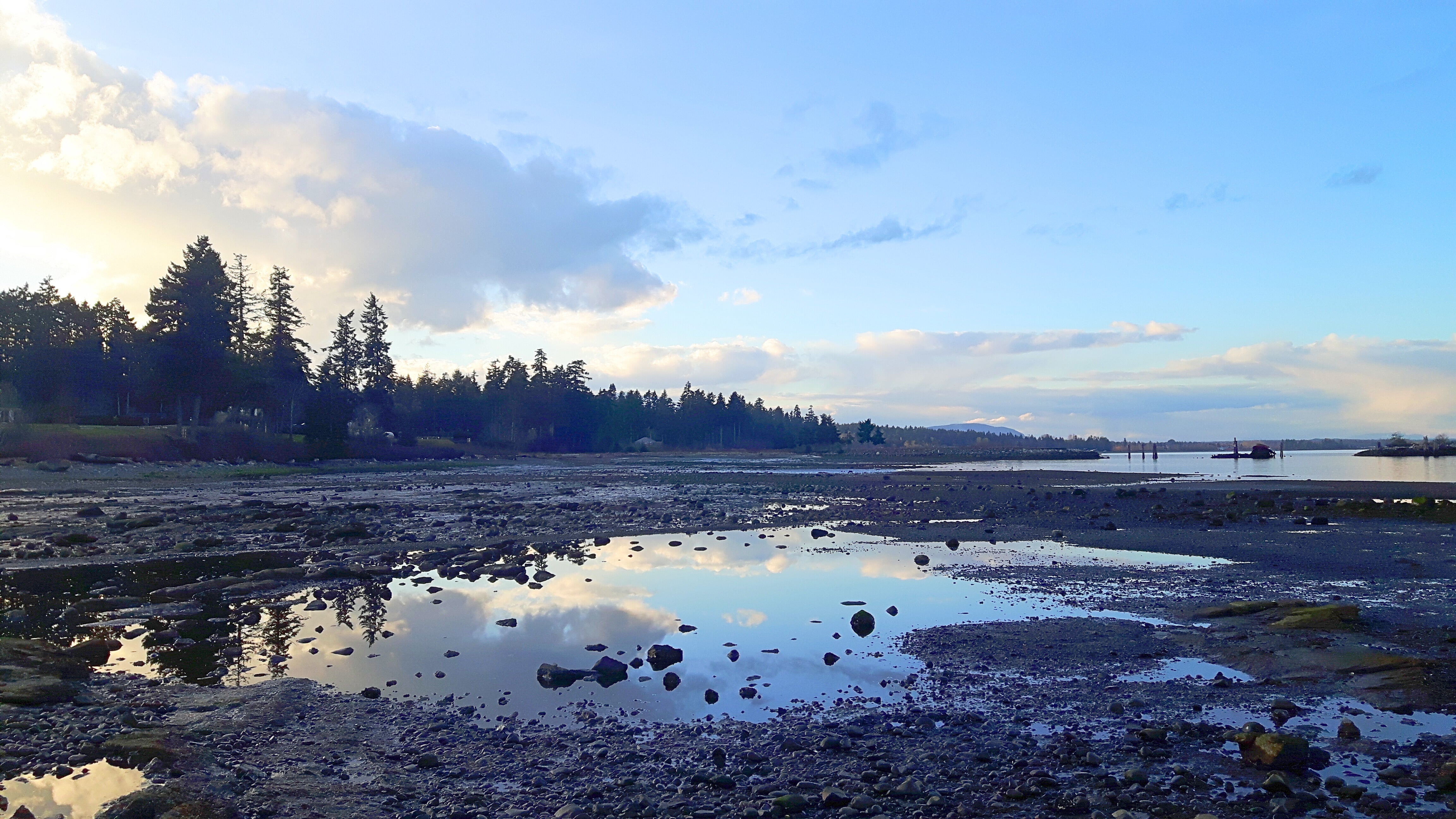 Pacific Purity